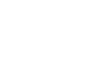 SDG Group